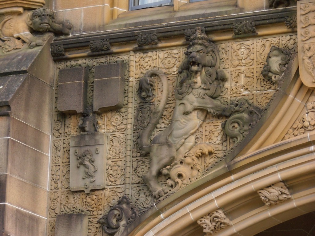 The Lion